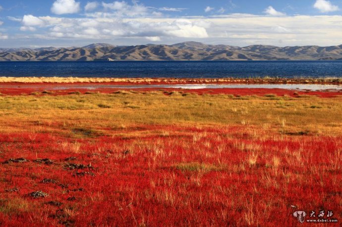 青藏高原上的大型淡水湖——冬格措纳
