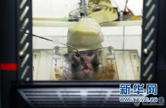 （新华直击）（3）中国科学家实现猴子大脑信号“遥控”机械手