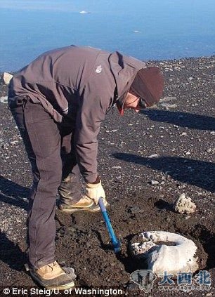 托宾2009年在南极洲詹姆斯-罗斯岛上发现一块大菊石化石。照片显示，这位科学家正在清理化石周围的沙子。
