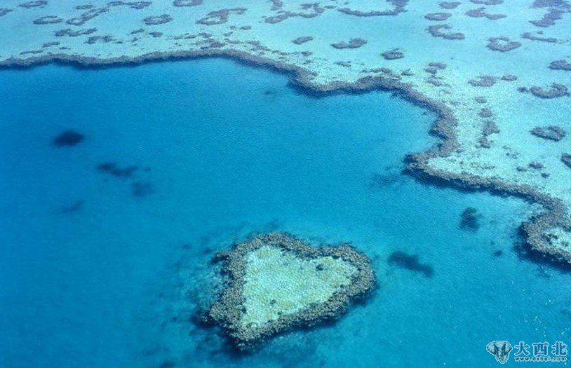 2012之大美自然：海中心形珊瑚礁