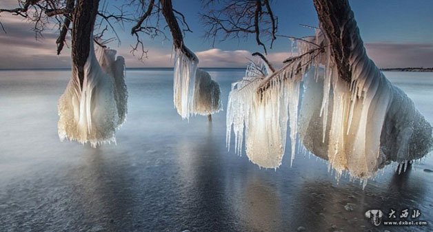 加拿大湖岸壮观冰挂景象：湖水冻结树木